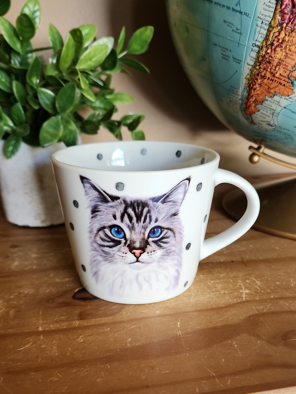 White Cat Print Ceramic Mug with Blue-Eyed Cat